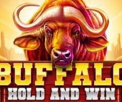 Buffalo Hold and Win