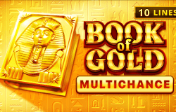 Book of Gold Multichance