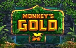 Monkeys Gold XPays