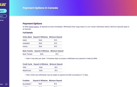 Wildz Casino Banking Options