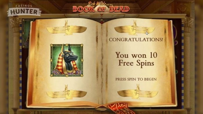 Book of Dead bonus game