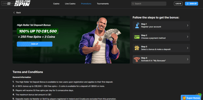 Need For Spin Casino High Roller