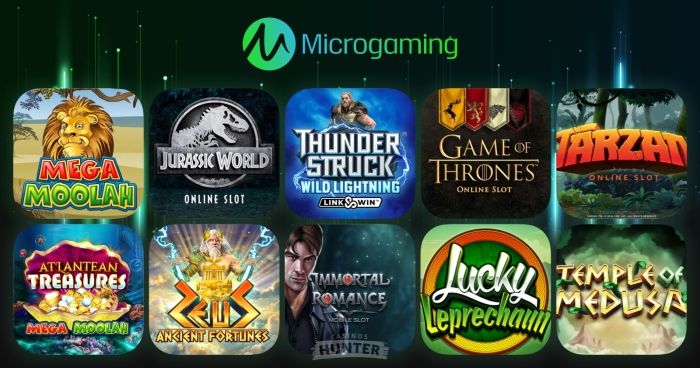 Best Microgaming Slots