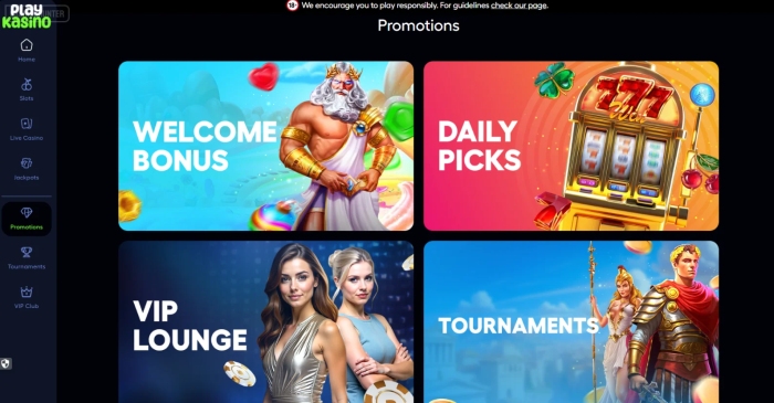 Playkasino Bonuses for Existing Players