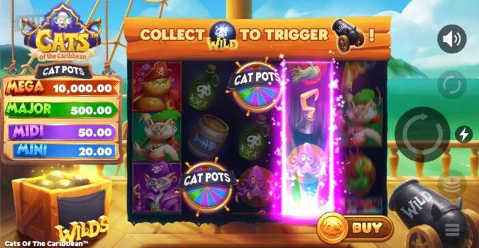Cats of the Caribbean Cat Pot Bonus