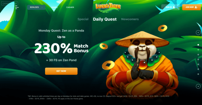 Lucky Tiger Casino Bonuses for Existing Players