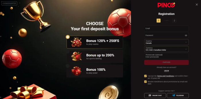 Pinco Casino Sign Up