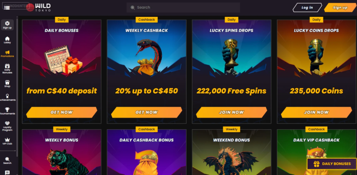 WildTokiy Casino Bonuses for Existing Players