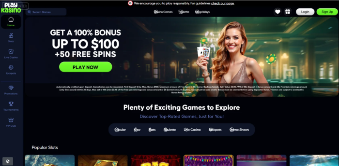 Playkasino Casino