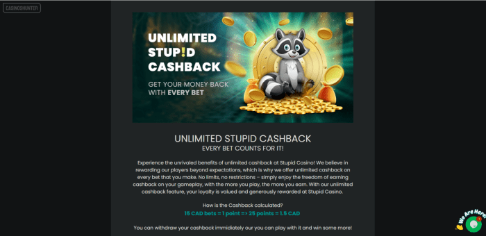 Stupid Casino Unlimited Cashback