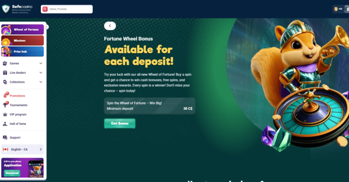 Safe Casino Fortune Wheel Bonus