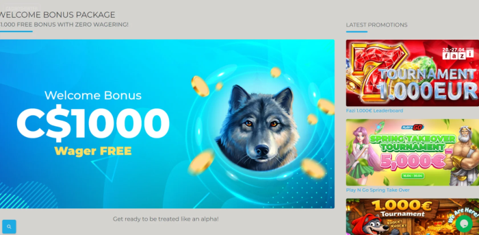 Wolfy Casino Welcome Bonus