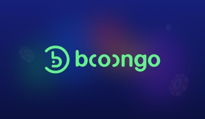 Booongo Casinos