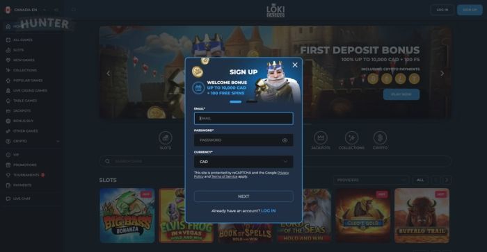 Loki Casino login form