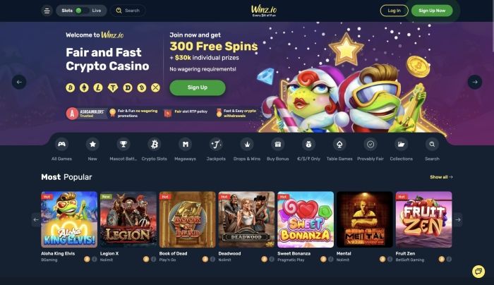 Winz.io Casino Review