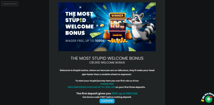 Stupid Casino Welcome Bonus