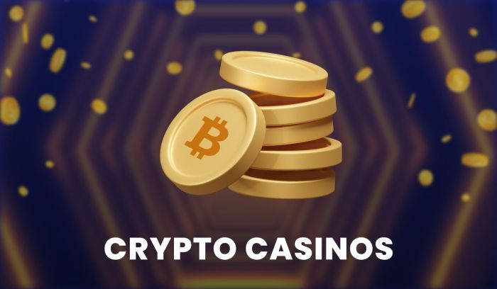 Cryptocurrency Casinos