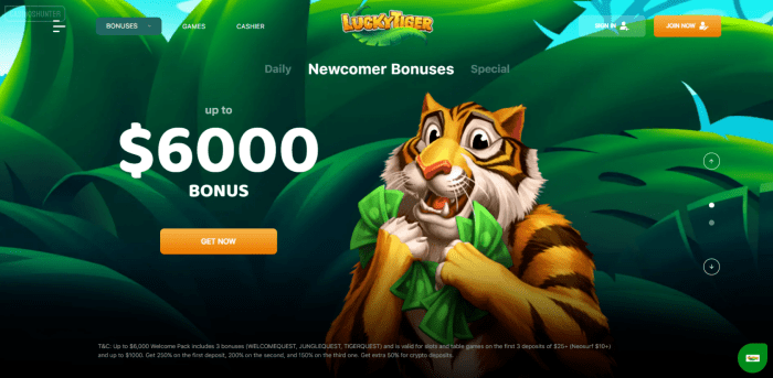 Lucky Tiger Casino Welcome Bonus