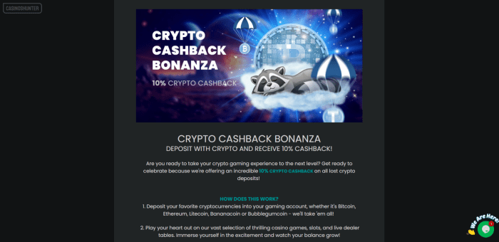 Stupid Casino Crypto Cashback Bonanza